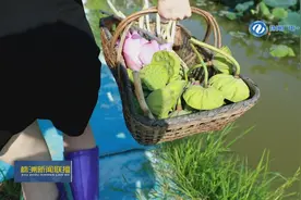 株洲醴陵：秀色可“餐”荷花宴图片