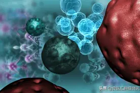 几百块，抽一管血早筛全身癌症，我为什么不建议你去做？图片