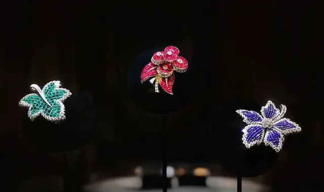 һ����ĸ����Ҫ2W+������ű�ƾʲô��ô��