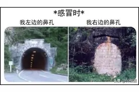 梗图合集：感冒时我的左边鼻孔 VS 我的右边鼻孔图片