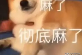 太卷了！研招网崩溃，报不上名啊！报名流程、填报常见问题答疑图片