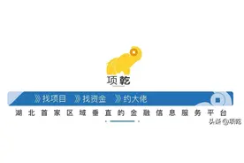 武汉金种子公司两点十分获B+轮投资，泡泡玛特等三家公司入股图片