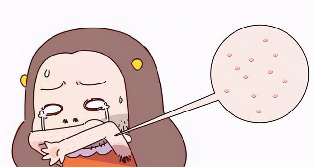 鸡皮肤遗传几率