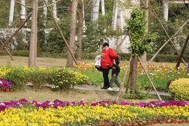 幸福生活简阳味儿 | 城市家园颜更高 市井生活味更浓图片