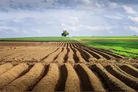 “四荒”地的承包和一般的农村土地承包有什么区别？北京律师解答图片