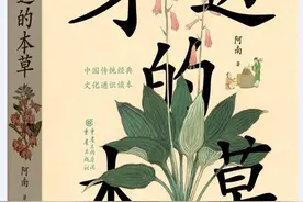 姜、黄连、丁香、玉簪、芍药、天门冬、紫花地丁……26种本草的前世今生图片