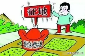 如果让农民退出耕地，补偿每亩5万元或800元/年，哪种划算？图片