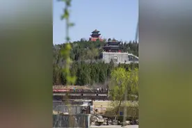 淄博高新区花山风景区“万亩”梅花盛开，为20年的寒冬画上句号图片