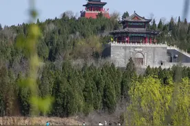 淄博高新区花山风景区“万亩”梅花盛开，为20年的寒冬画上句号图片