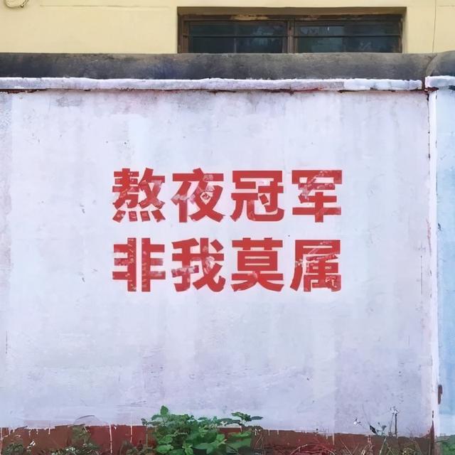 朋友圈背景图 | 个性、沙雕、励志文字控