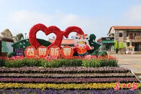 武汉花博汇春意盎然图片