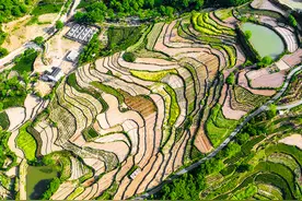 山村农民真忙，这里田园风光就是美，镜头诠释“一日之计在于晨”图片