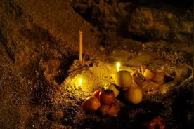 十月一上坟，民间有“坟现三象，富贵吉祥”的说法，说的是哪三象图片