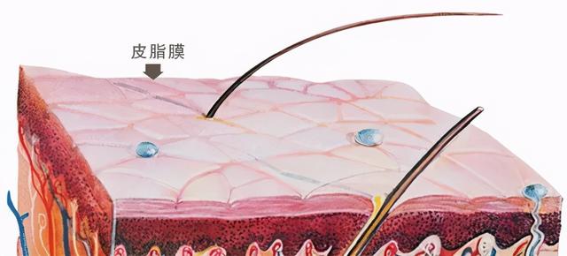 掌跎角化症跟绝经有关系吗