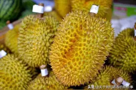 买榴莲，内行人专挑“母”的！薄壳肉多又香甜，教你几招，不会错图片