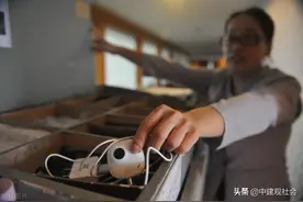 “淤泥中盛放 逆境中涅槃”——一位退休下岗女工的人生自述图片