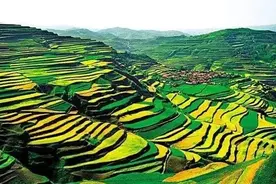 ［一个人的历史  25］童年记事：不堪回首，小时候修梯田的糗事图片