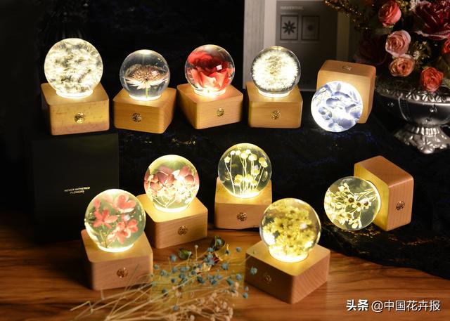 教师节到了！能送给老师的除了鲜花束，还有这几种花