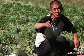 老农捡到一面金牌，鉴宝时被要求上交，一举动惹怒文物专家图片