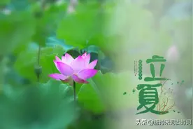 立夏节气，赏析陆游的《立夏》图片