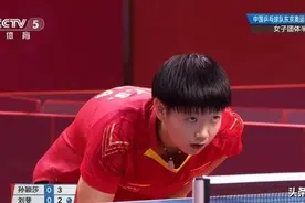 石家庄姑娘孙颖莎20日冲击第三冠 中国女乒缺个好左手图片