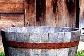 古代女囚最忍受不了的“浴桶涂蜜”, 是怎样的酷刑？图片