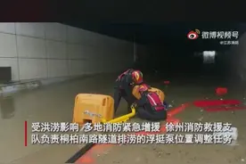 江苏消防员捡起国旗洗净后插在消防车上图片