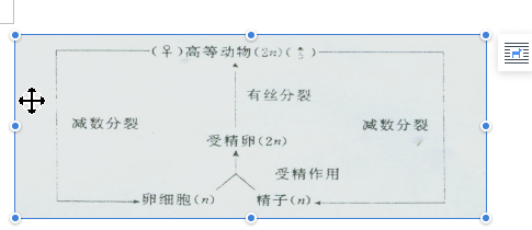 高中生物知识点总结