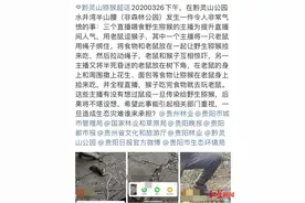 主播绑鼠戏猴、给猴子验孕？管理部门回应图片