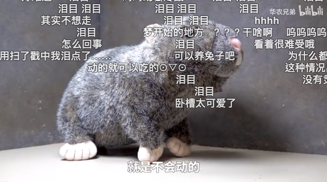 日本电影鸡皮疙瘩百度云资源