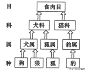 「中考·生物」冲刺中考，初中生物100道高频易错题！附答案~