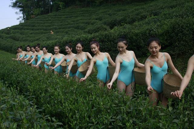 用一句话来形容茶叶好喝，味道好，你会怎么说