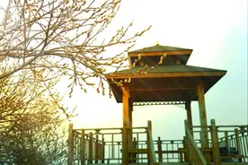 平山驼梁春意浓图片