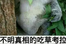婴儿盖被窒息死亡！竟是母亲疏忽所致，法院已宣判图片