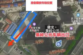 沌口郭徐岭滨湖社区旁夜市摊位寻求新址？图片