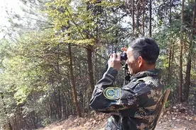 被马云奖励的巡护员与一万多亩山林“厮守”38年

记者跟他巡山一天，看见了他保护的“鸟中大熊猫”图片
