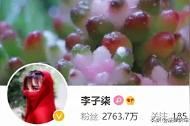 李子柒起诉微念，不合理的财富分配方式注定难走更远图片