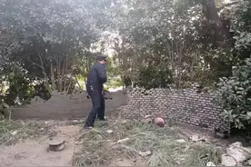 「问答」想围着自家的房子砌一圈围墙，这算违建吗？图片