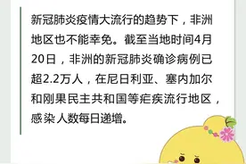 屠呦呦与青蒿素的前世今生：用一株小草，拯救亿万生命！图片