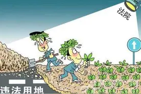未经审批种人参，毁坏林地被判刑图片