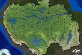 亚马逊雨林有什么，为何被称为人类的禁区，到底有多恐怖？图片