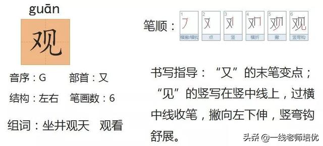 知识点+练习题 部编版二年级语文上册 12 坐井观天