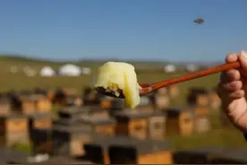 怎样吃蜂王浆不辣嗓子？蜂王浆口感有点辣正常吗？图片
