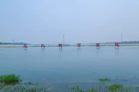 旅发大会 | 碧波荡漾，燕儿飞舞，槐河千岛湿地成元氏风景新“名片”图片