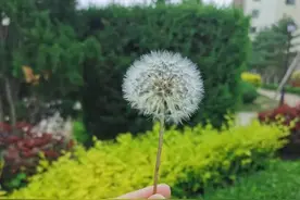 “嫂子马上退休了，正好伺候妈”，大家都有责任，别只推给一个人图片