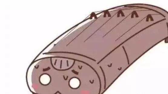 ʺѧϰ