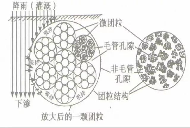 冲施必备，一步到位！这款冲施好搭档，绝对让你效果翻倍
