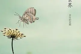 《新世界》最现实的十句话，在困难面前，不顺从就反抗图片