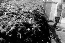 头发真的能做酱油吗？这种方法竟然是劳动人民智慧的结晶图片