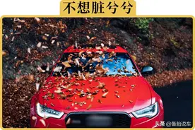 露天停车，真的有必要罩车衣吗？哪些情况不罩车衣反倒更好？图片